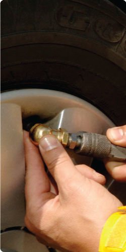 Preguntas Frecuentes